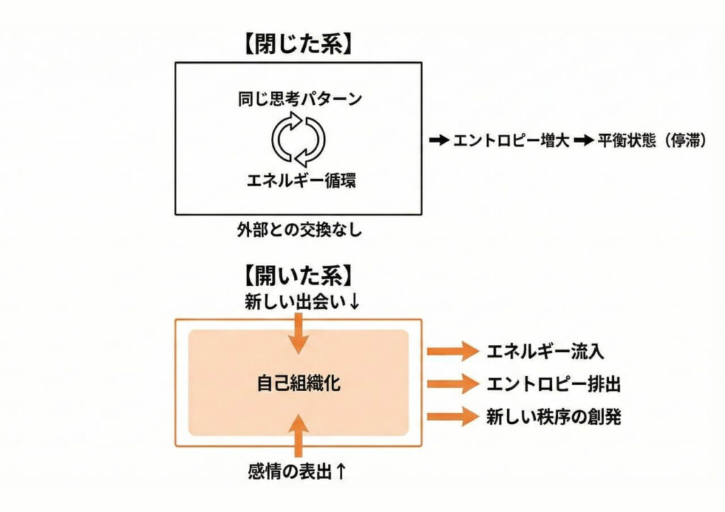 閉じた系と開いた系の比較図 閉じた系：同じ思考パターンが循環→エントロピー増大→平衡状態（停滞） 開いた系：新しい出会い（流入）→自己組織化→感情の表出（排出）→新しい秩序