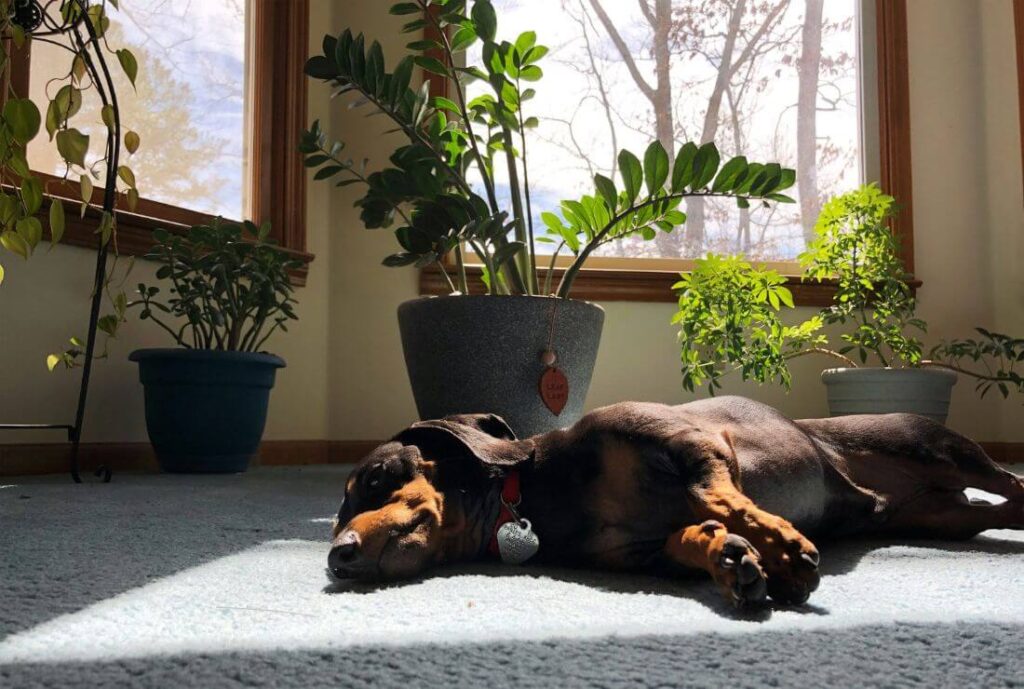 おわりに：「やめとけ」と言われる理由はある。それでも。