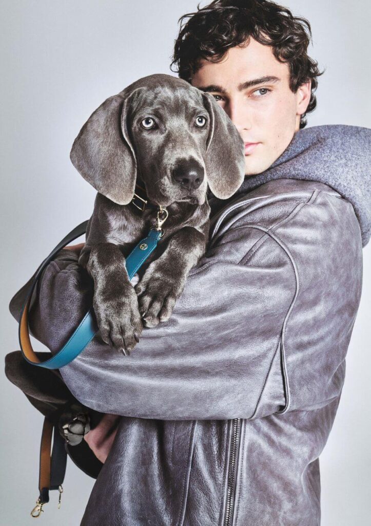 アルマーニの美学を纏う、愛犬のためのラグジュアリーコレクション