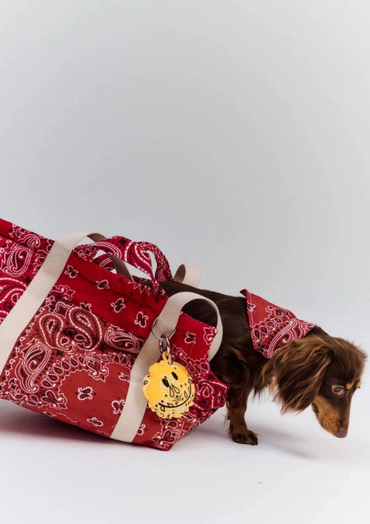 © CALL IT BY YOUR NAME