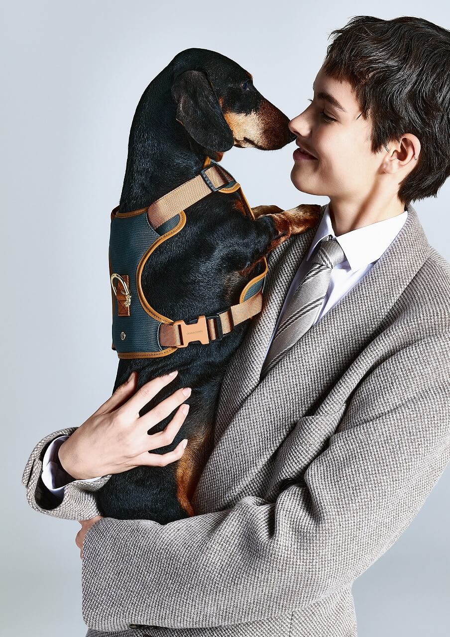 ジョルジオ アルマーニ×ポルド ドッグ クチュール、愛犬のための新作コレクションが登場